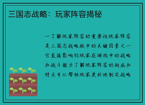 三国志战略：玩家阵容揭秘